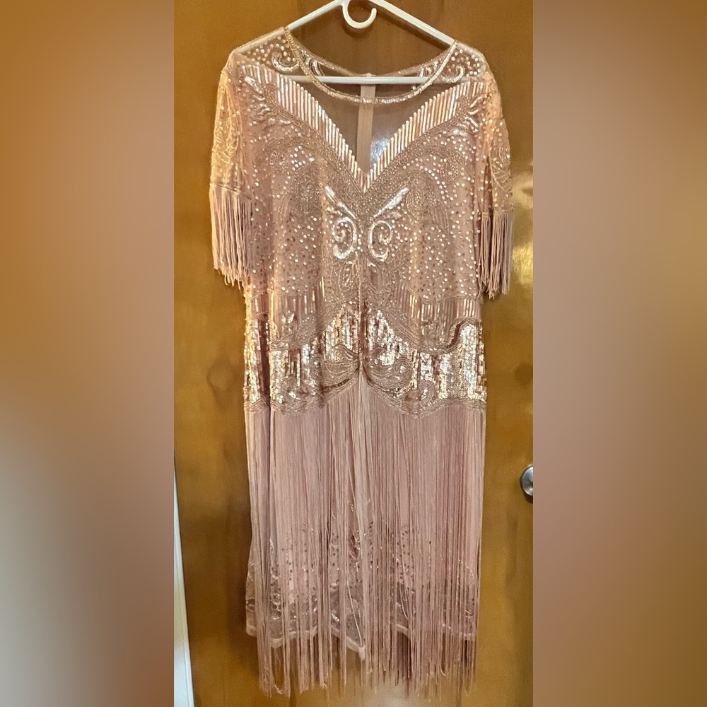 Elegant Fringe Sequin Dress